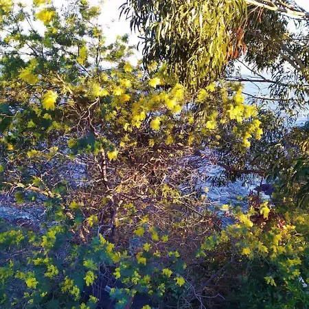 Fleur De Sel 55m2, Terrasse, Jardin, Pieds Dans L'eau, 4 Pers Saint-Raphael (Var)