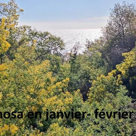 Cap Neree, Fleur De Sel 55m2, 2 Chambres, Terrasse, Jardin, Pieds Dans L'eau, 4 Pers Lejlighed