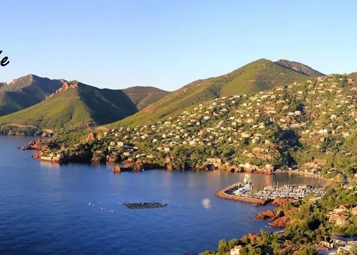 Apartment Fleur De Sel 55m2, Terrasse, Jardin, Pieds Dans L'eau, 4 Pers *