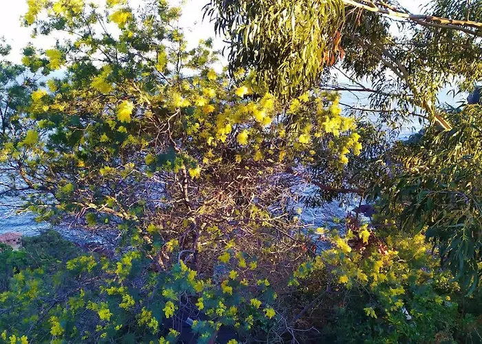 Fleur De Sel 55m2, Terrasse, Jardin, Pieds Dans L'eau, 4 Pers Saint-Raphaël