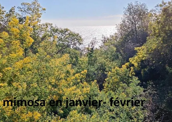 Fleur De Sel 55m2, Terrasse, Jardin, Pieds Dans L'eau, 4 Pers Apartamento