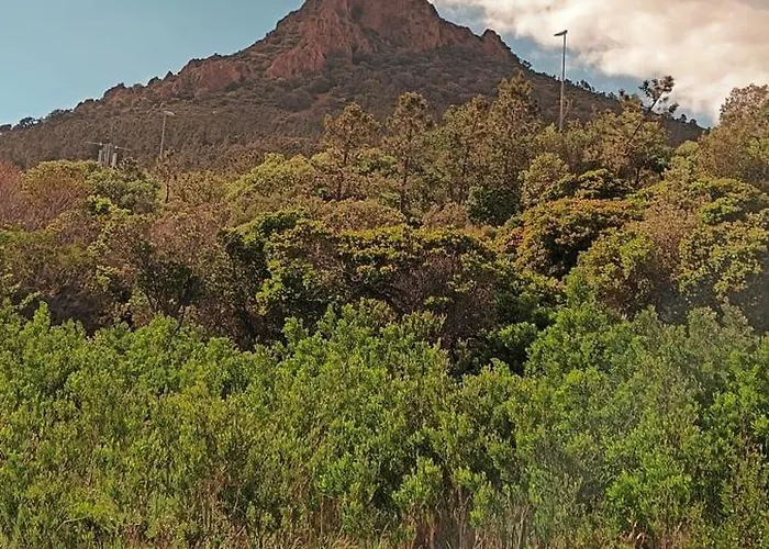 Fleur De Sel 55m2, Terrasse, Jardin, Pieds Dans L'eau, 4 Pers * Saint-Raphael (Var)